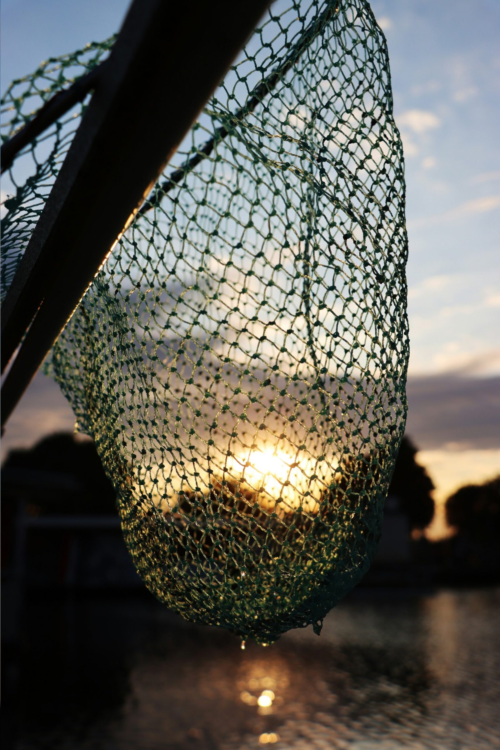 An overly large fishing net catching small, unwanted fish, symbolizing the PPC mistake of using broad match keywords.